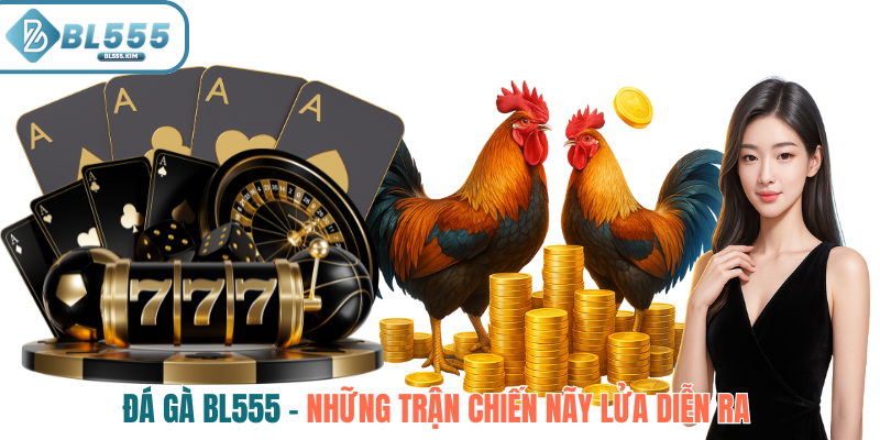 Đá Gà BL555 Nơi Những Trận Chiến Nãy Lửa Diễn Ra