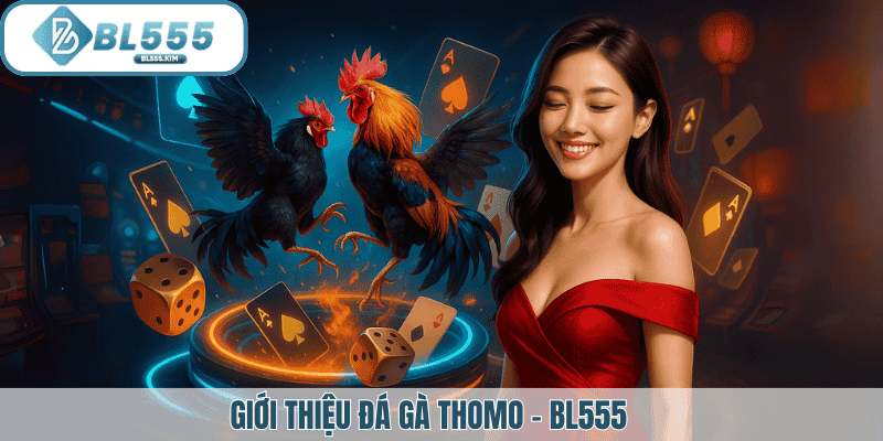 Giới thiệu đá gà thomo tại BL555
